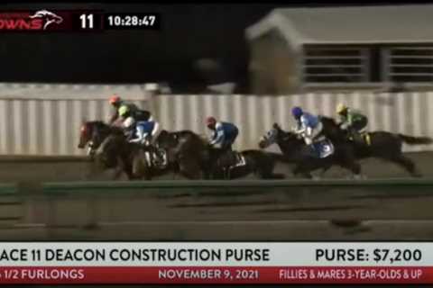 ‘Absolutely terrifying’ moment floodlights cut out mid-race as two jockeys are rushed to hospital..