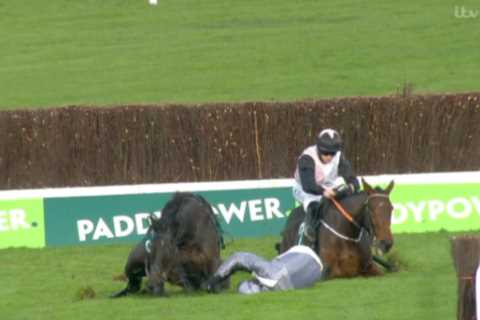 Watch Cheltenham chaos in two-horse race as BOTH fall but Rachael Blackmore wins after..