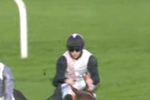 Things needs to change to tackle small fields issue in jumps racing – and where is BHA’s Bryony..