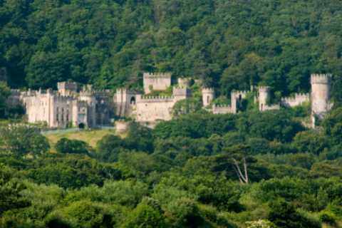 I’m A Celebrity stars saved by local emergency plumber after castle shower broke