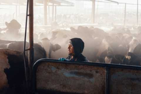 Crunch at Ports May Mean Crisis for Family Farms
