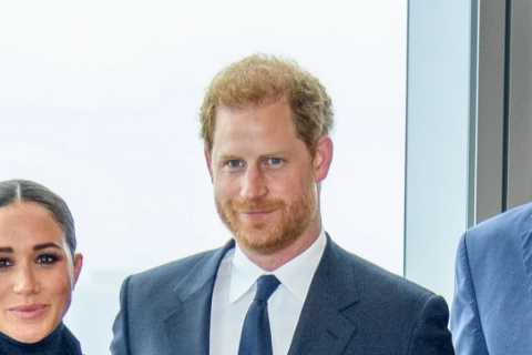 Sussexes mislead court, then declare war on lies…you couldn’t Meg it up