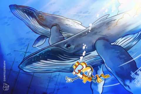 Bitcoin bargain: 3rd biggest whale address adds 207 BTC at $62K