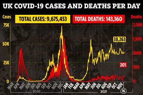 UK daily Covid cases drop by more than a FIFTH in a month but deaths rise after winter booster..