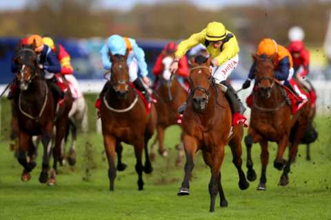 Netflix Drive To Survive creators ‘in talks over horse racing version’ of hit F1 show
