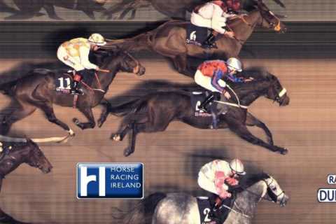 Dramatic three-horse photo finish leaves punters baffled as one admits ‘I thought the winner..