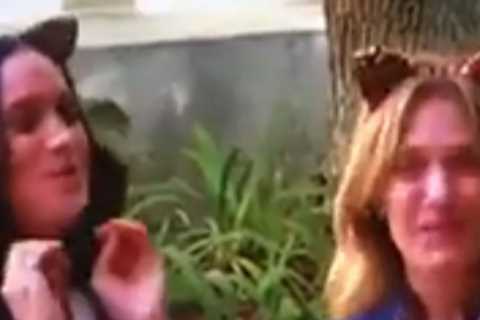 Meghan Markle pretends to be a cat and sings ‘meow, meow, meow’ in cringe-worthy Ellen sketch