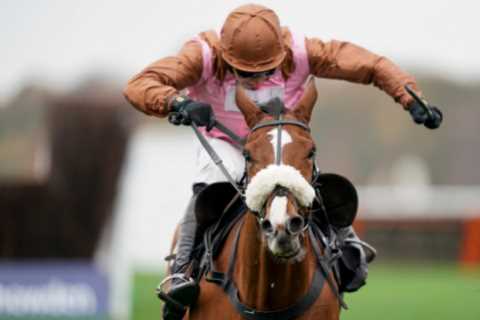 Buzzing Dan Skelton celebrates 1000th winner but has eyes on bigger prizes including maiden..
