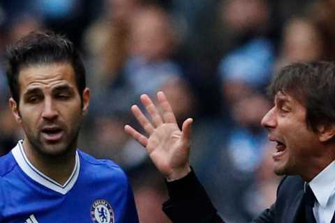 Chelsea legend Cesc Fabregas reveals what new Tottenham boss Antonio Conte is really like to play..