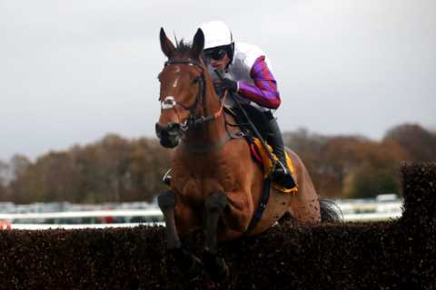 Matt Chapman’s Monday Yeeehaaa – Where have all the owners gone? No wonder we’re having tiny fields ..