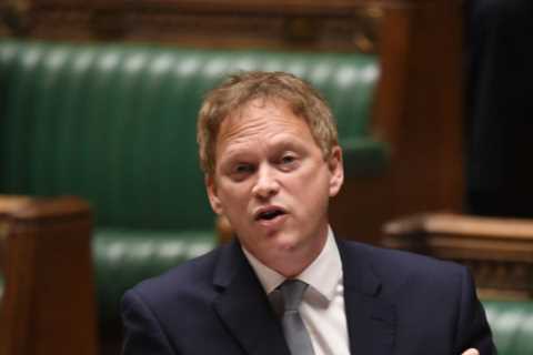 Transport Secretary Grant Shapps cleared in sleaze row over small airfields