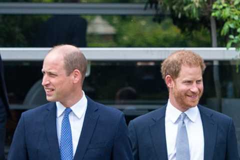 Meghan Markle &amp; Prince Harry ‘provoked Royals’ but Queen ‘didn’t want to be dragged down rabbit ..