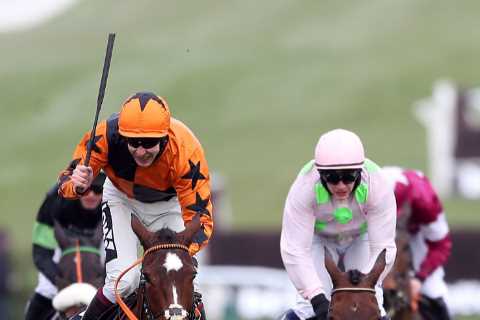 Cheltenham Festival hero Put The Kettle On could miss title defence, reveals trainer Henry de..