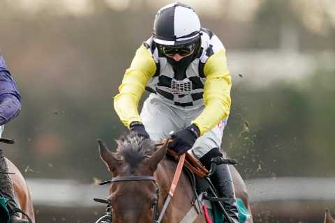 Tizzard’s reckon Fiddlerontheroof ‘ticks plenty of boxes’ as the 5-1 shot prepares for Ladbrokes..