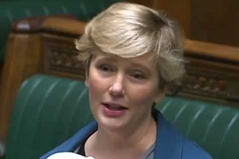 Ban on babies in Parliament under review after Labour MP mum demands rethink