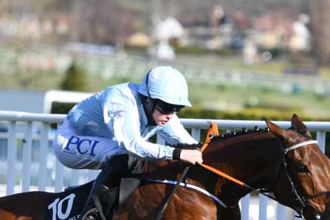 Hatton’s Grace Hurdle: Runners, odds and all you need to know for season’s strongest race so far