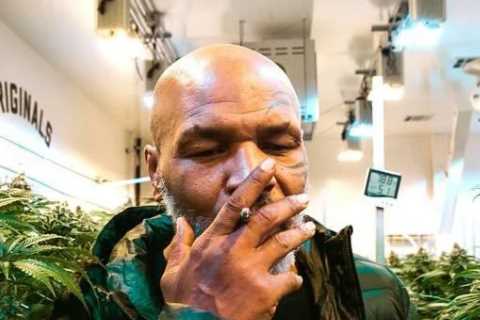 Mike Tyson accepts Malawi government’s invite to become country’s official cannabis ambassador