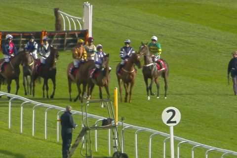 ALL jockeys questioned in urgent probe into ’embarrassing’ race as punters demand riders be fined..