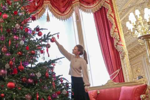 I sold Meghan Markle &amp; Prince Harry their first Christmas tree – follow my 8 hacks to get the..