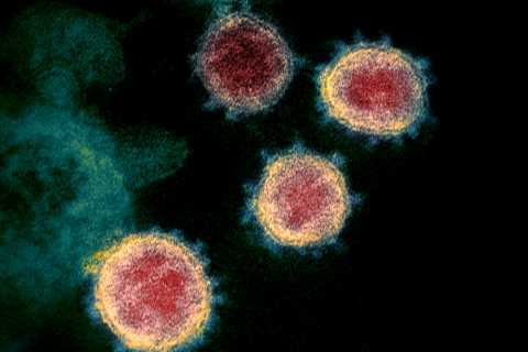 Scientists warn ‘horrific’ new variant is ‘better at infecting vaccinated people’ as cases surge