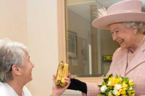 The Queen has shared amazing meetings with ordinary folk, have YOU met her majesty?