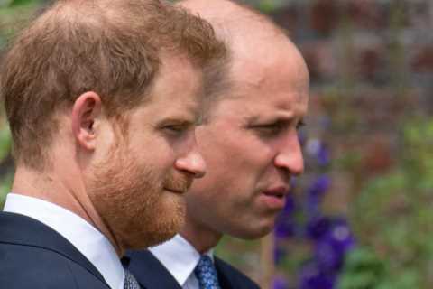 Prince Harry raged ‘who the hell do you think you are’ at William in row over Meghan Markle, book..