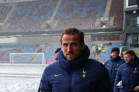 Harry Kane invites American Spurs fan to a game after he travelled 31 hours for Burnley clash to be ..