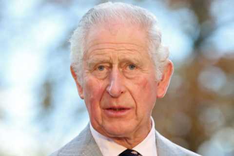 By calling in lawyers over Archie book, Prince Charles is sinking to the level of Prince Harry..