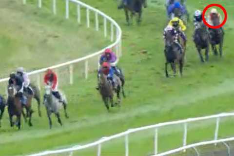 Trainer fined £5,000 and horse and jockey who started favourite banned for ‘not trying’ in..