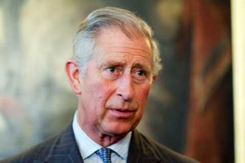 Book’s claim Prince Charles questioned Archie’s complexion came from ‘rock-solid’ sources, says..