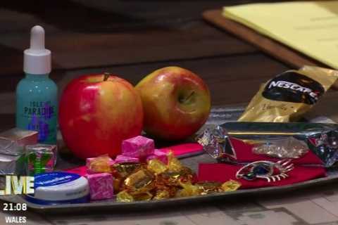 Ant and Dec reveal I’m A Celeb stars’ shocking haul of contraband including fake tan and sweets