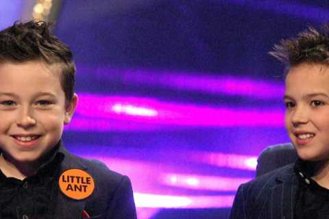 Saturday Night Takeaway’s Little Ant and Dec look unrecognisable 13 years after the show