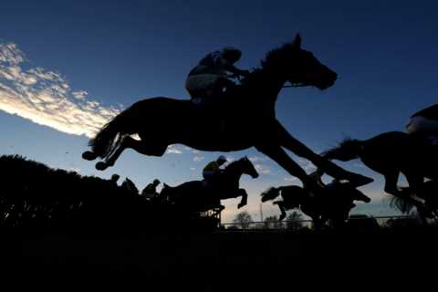 Trainer says account was ‘hacked’ after tweet is met by backlash