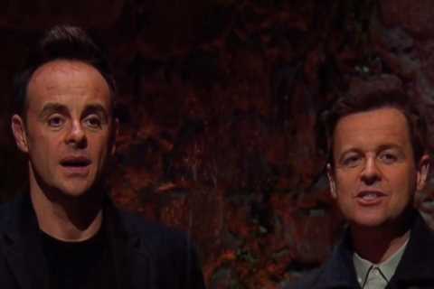 Timmy Mallett savagely branded ‘an a**e’ by I’m A Celeb’s Ant and Dec – after being called ‘most..