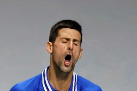 World No1 Novak Djokovic suffers ‘cruel’ end to season after being knocked out of Davis Cup with..