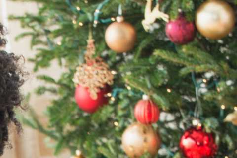 First oral at-home Covid pill could be available by CHRISTMAS in fight against Omicron variant