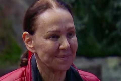 I’m A Celebrity’s Arlene Phillips reveals secrets of show’s quarantine – with stars allowed Netflix,..
