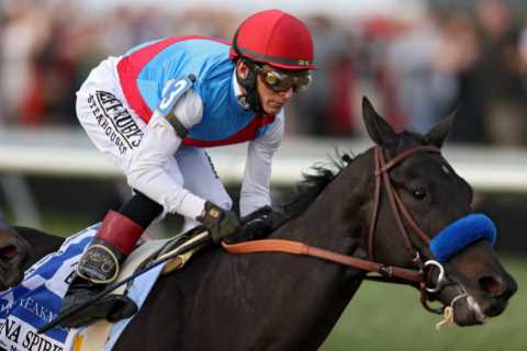 Racing tragedy as controversial Kentucky Derby winner Medina Spirit dies aged three in training..