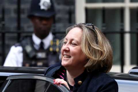 Drop tariffs on British steel to pave way for ‘all-dancing’ UK-US trade deal, senior minister to..