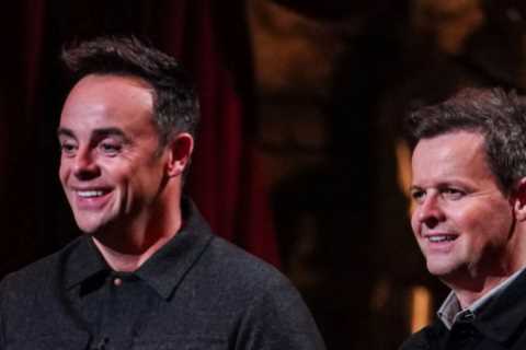 I’m A Celeb’s Dec Donnelly slams ‘harsh’ fans who slated stars for sobbing over their letters from..