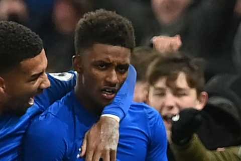 Everton 2 Arsenal 1: Demarai Gray scores last-minute stunner to ease pressure on Benitez as Mikel..