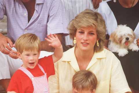 Princess Diana ‘would return or give away some of William and Harry’s Christmas gifts’, says former ..