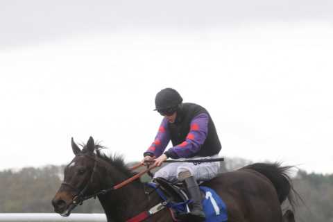 Templegate tip and complete runner-by-runner guide to Cross Country Handicap Chase at Cheltenham on ..