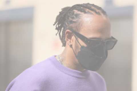 Lewis Hamilton arrives for Abu Dhabi GP showdown with Max Verstappen in £500 purple jumper with..