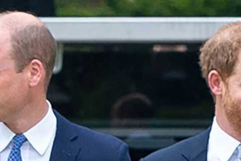 BBC receives almost 1,000 complaints over Prince William and Harry Princes and the Press doc that..