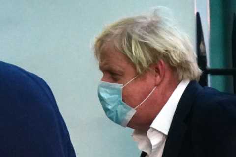 Whitehall’s anti-sleaze boss demands new evidence to explain what Boris Johnson knew about No10..