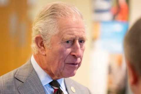 Prince Charles faces fresh accusations in Saudi cash-for-honours scandal 