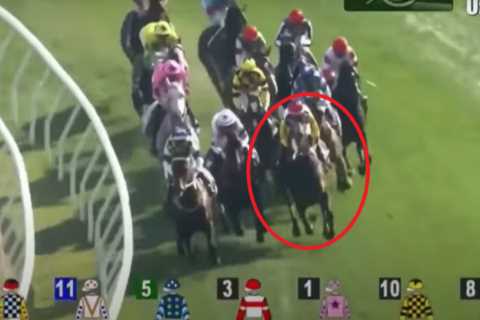 Two jockeys in intensive care after horrifying mass fall labelled ‘one of the worst in history’ at..