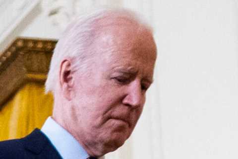 Democrats Are Solidly Behind Biden. There’s No Consensus About a Plan B.