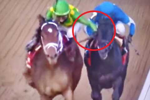Owner whose horse came second drafts in lawyer to overturn result, disqualify winner and pocket..